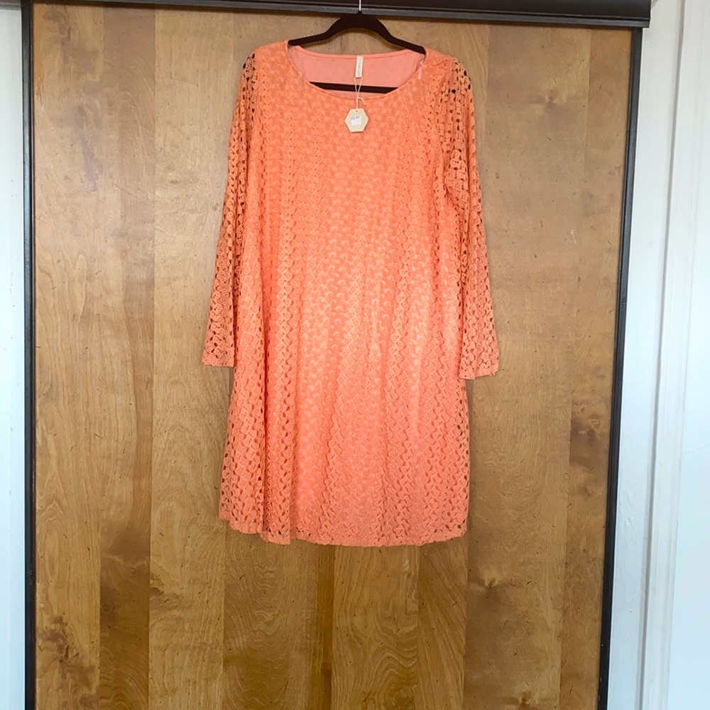 Pinkblush maternity dress